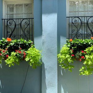 Hi! I’m Cece! I’m moving, so make an offer!